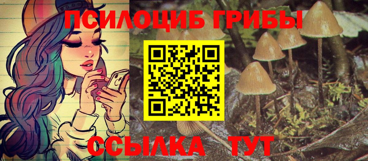 Малоярославец  Псилоцибиновые грибы Psilocybe  закладки  Вход с VPN 