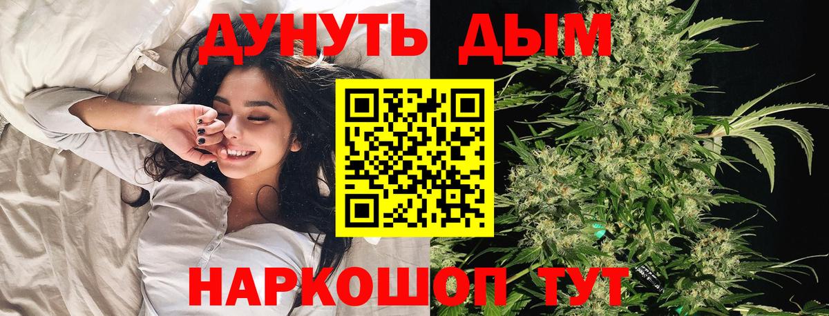 Канабис планчик Малоярославец